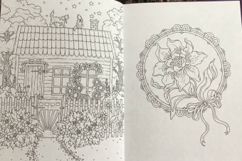 Ханна Карлсон: Волшебные истории. Магический дом