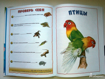 Энциклопедия животных для маленьких почемучек