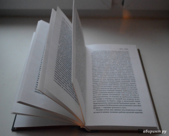 Владимир Набоков: Дар