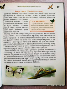 Людмила Соколова: Энциклопедия. Бабочки