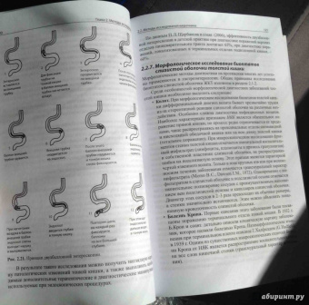 руководство для врачей: Детская гастроэнтерология