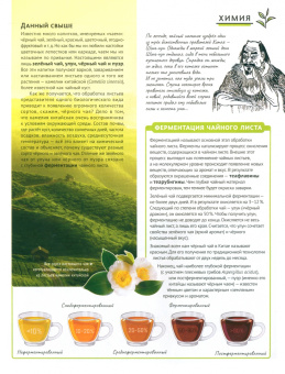 Думай 2023 № 44 (4) апрель