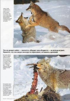 Журнал "Вокруг Света" №10 (2817). Октябрь 2008
