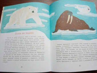 Илья Кочергин: Что такое Красная книга