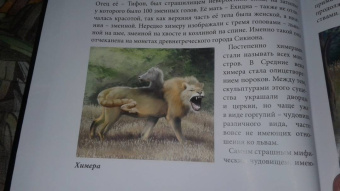 Владислав Щербак: Хочу знать. Львы