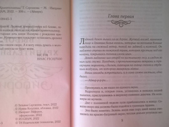Татьяна Серганова: Айвири. Выбор Хранительницы