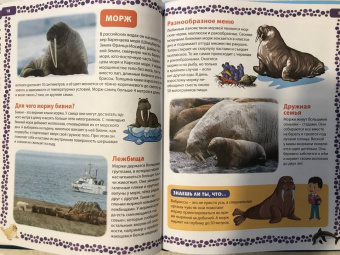 Большая книга о подводных обитателях