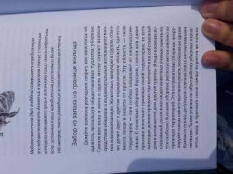 Мадлен Циге: В лесу никто не молчит. Как животные и растения общаются друг с другом