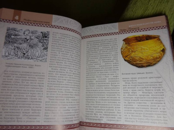 Владимир Петрухин: Мифы викингов