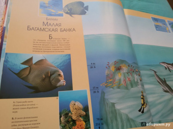Лучшие места мира для дайвинга