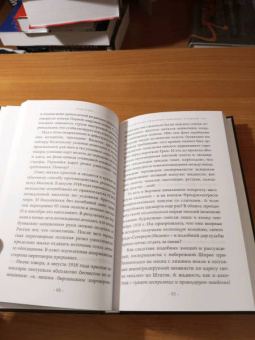 Роде, Демидов, Коган: Убийство, которого не было?