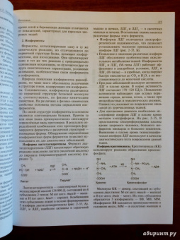Авдеева, Алейникова, Андрианова: Биохимия. Учебник