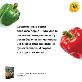 Алена Волкова: Перец. Выращиваем, ухаживаем и едим