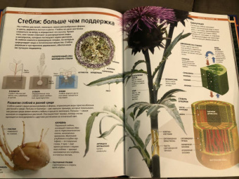 Малиция, Сориано, Фернандес: Тайны планеты Земля. Большая иллюстрированная энциклопедия