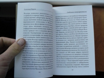 Франсуа-Мари Вольтер: Эстетика