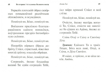 Канон Великий. Творение святителя Андрея Критского (крупный шрифт)