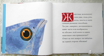 Дженкинс, Пейдж: Про хвосты, носы и уши. Интересные факты о животных