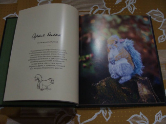 Клэр Гарланд: Лесные жители, связанные на спицах. 12 реалистичных игрушек