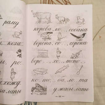 Всеволод Флеров: Наглядные уроки письма