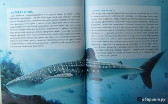 Ольга Тяжлова: Удивительные животные