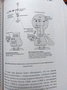 Эрик Кандель: В поисках памяти