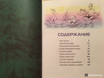Валентина Мальцева: Открываем тайны леса