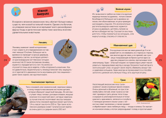 Жан-Мишель Бийу: Животные планеты. Интерактивная детская энциклопедия в коробке