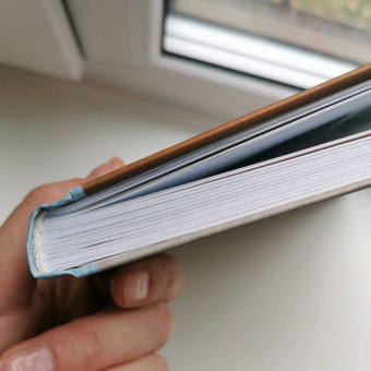 Екатерина Савина: Сшей и обними. Зайчики, пингвины и другие звери. Игрушки-примитивы своими руками