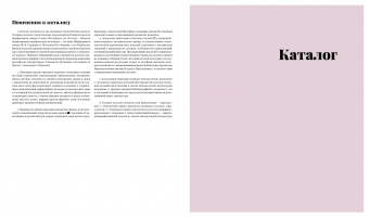 Ирина Багдасарова: Русский фарфор XVIII–XIX веков из собрания Владимира Царенкова