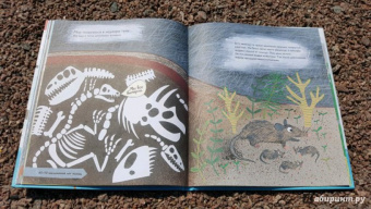 Барр, Уильямс: История жизни. Моя первая книга об эволюции