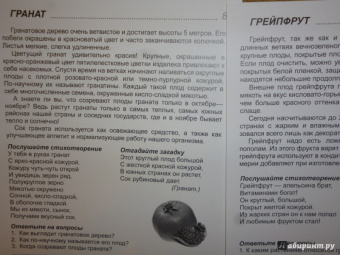 Т. Цветкова: Демонстрационные картинки Фрукты, 16 картинок