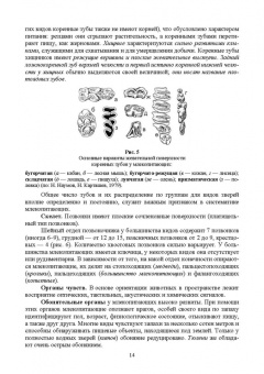 Виктор Машкин: Биология промысловых зверей России. Учебник для СПО