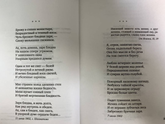 Александр Блок: Незнакомка. Стихотворения, поэма