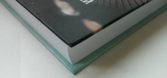 Артем Рудницкий: Верхом на тигре. Дипломатический роман в документах и диалогах