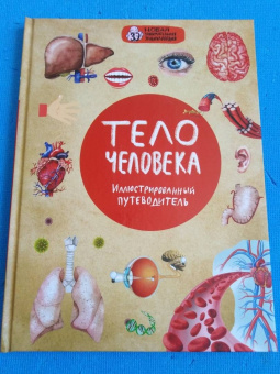 Дмитрий Лукашанец: Тело человека