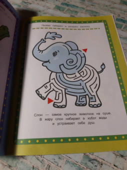 Весёлый зоопарк. Книжка-раскраска