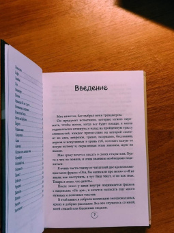 Ольга Савельева: Попутчица. Рассказы о жизни, которые согревают