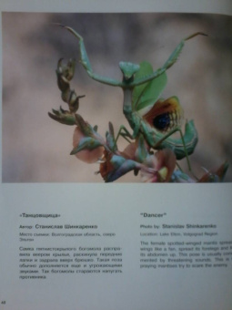 Россия - самая красивая страна. Фотоконкурс 2020