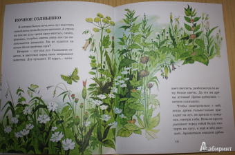 Анатолий Тумбасов: Телеграмма