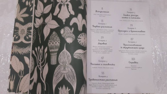 Кэти Уллис: Ботаникум