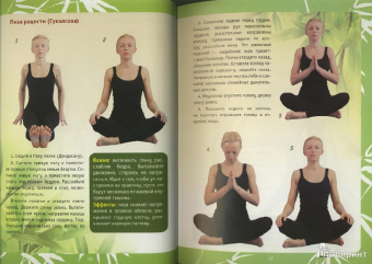 Ирина Шевцова: Йога. Полный курс для начинающих (книга + DVD)