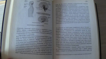 Эрик Кандель: В поисках памяти