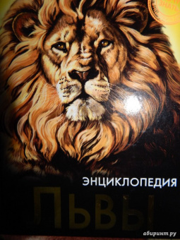 Владислав Щербак: Хочу знать. Львы