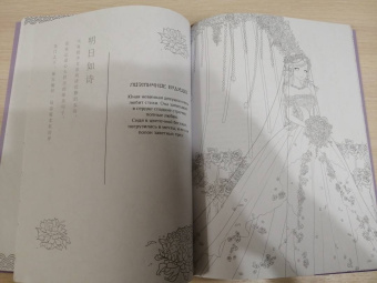 Anime Art. Путешествие во времени. Книга для творчества в стиле аниме и манга
