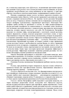 Зейрук, Гаспарян, Белов: Болезни, вредители и сорные растения картофеля. Учебное пособие для СПО