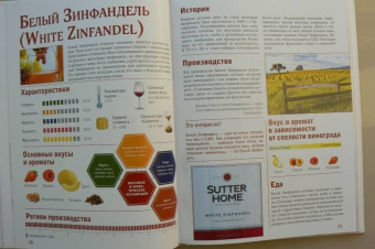 Марк Шпаковский: Вино. Большой иллюстрированный гид