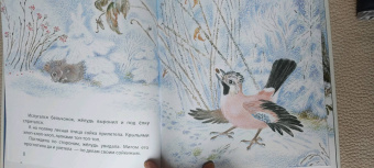 Наталья Чарушина-Капустина: Жил да был в лесу бельчонок