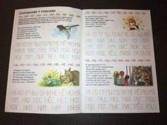 Мои печатные прописи ПИШУ СЛОГИ И СЛОВА (53756)