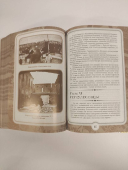 Ильф, Петров: 12 стульев. Золотой теленок. Коллекционное иллюстрированное издание