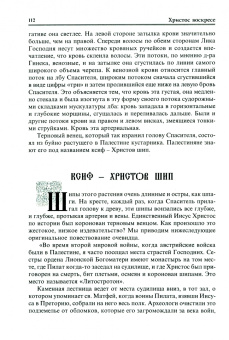 Христос Воскресе! Факты о воскресении
